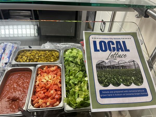Romaine Lettuce